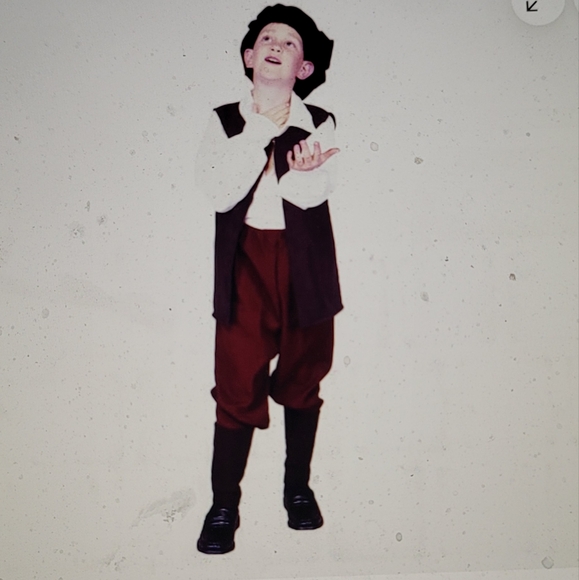 NWT RENAISSANCE BOY COSTUME NEWSPAPER BOY CHRISTMAS THANKSGIVING CHILD - Picture 2 of 13
